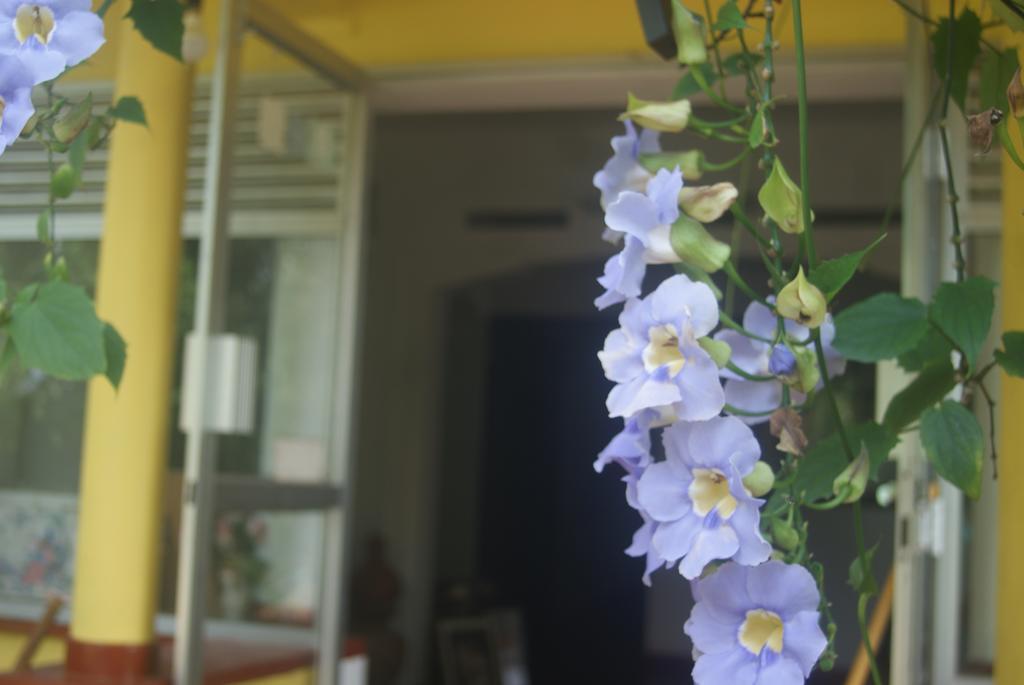 Ananda Home Stay And Restaurant Tangalle Luaran gambar
