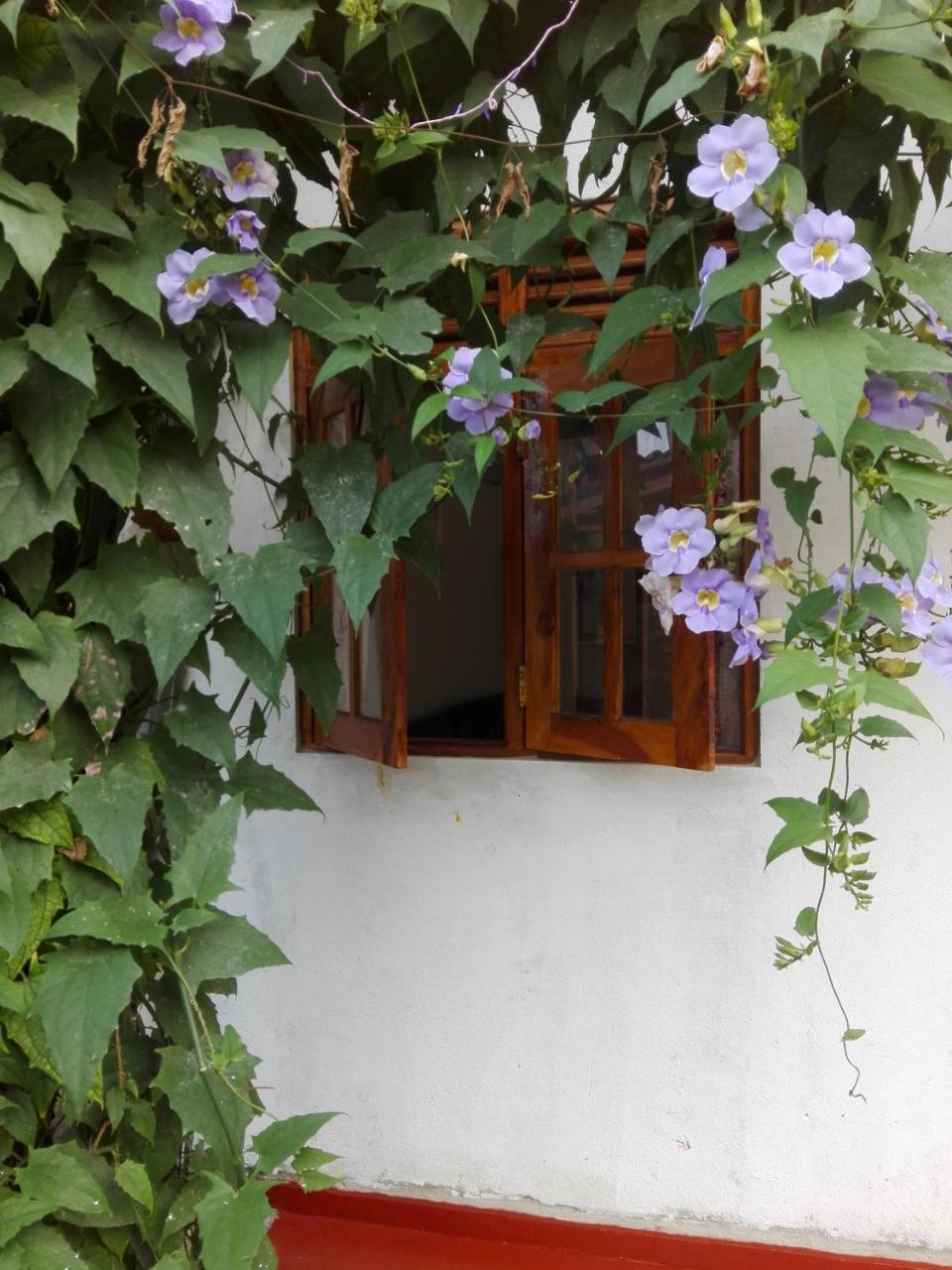 Ananda Home Stay And Restaurant Tangalle Luaran gambar